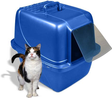 large cat litter box